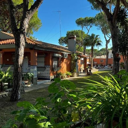 Chalet Los Pinos Con Piscina Privada โนโบซังก์ติเปตรี ภายนอก รูปภาพ