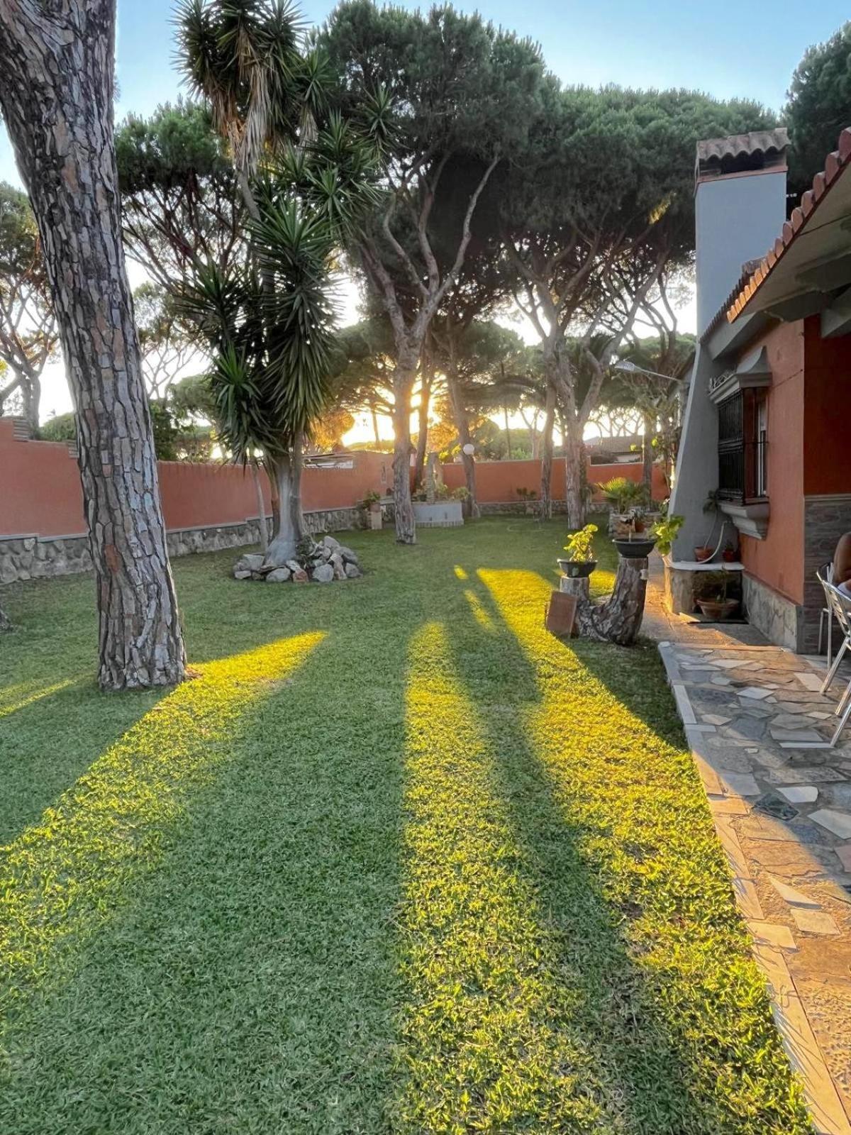 Chalet Los Pinos Con Piscina Privada โนโบซังก์ติเปตรี ภายนอก รูปภาพ